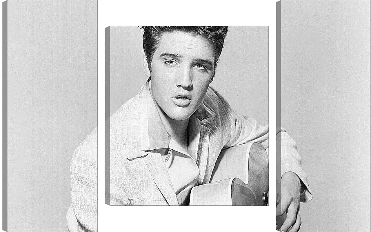 Модульная картина - Элвис Пресли. Elvis Presley