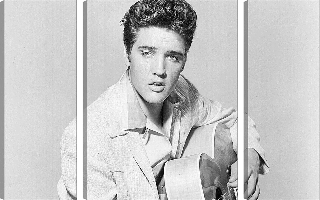 Модульная картина - Элвис Пресли. Elvis Presley