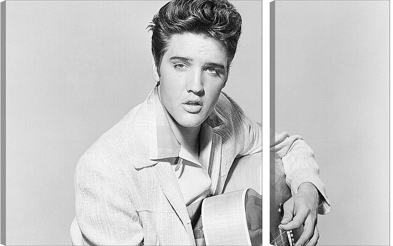 Модульная картина - Элвис Пресли. Elvis Presley