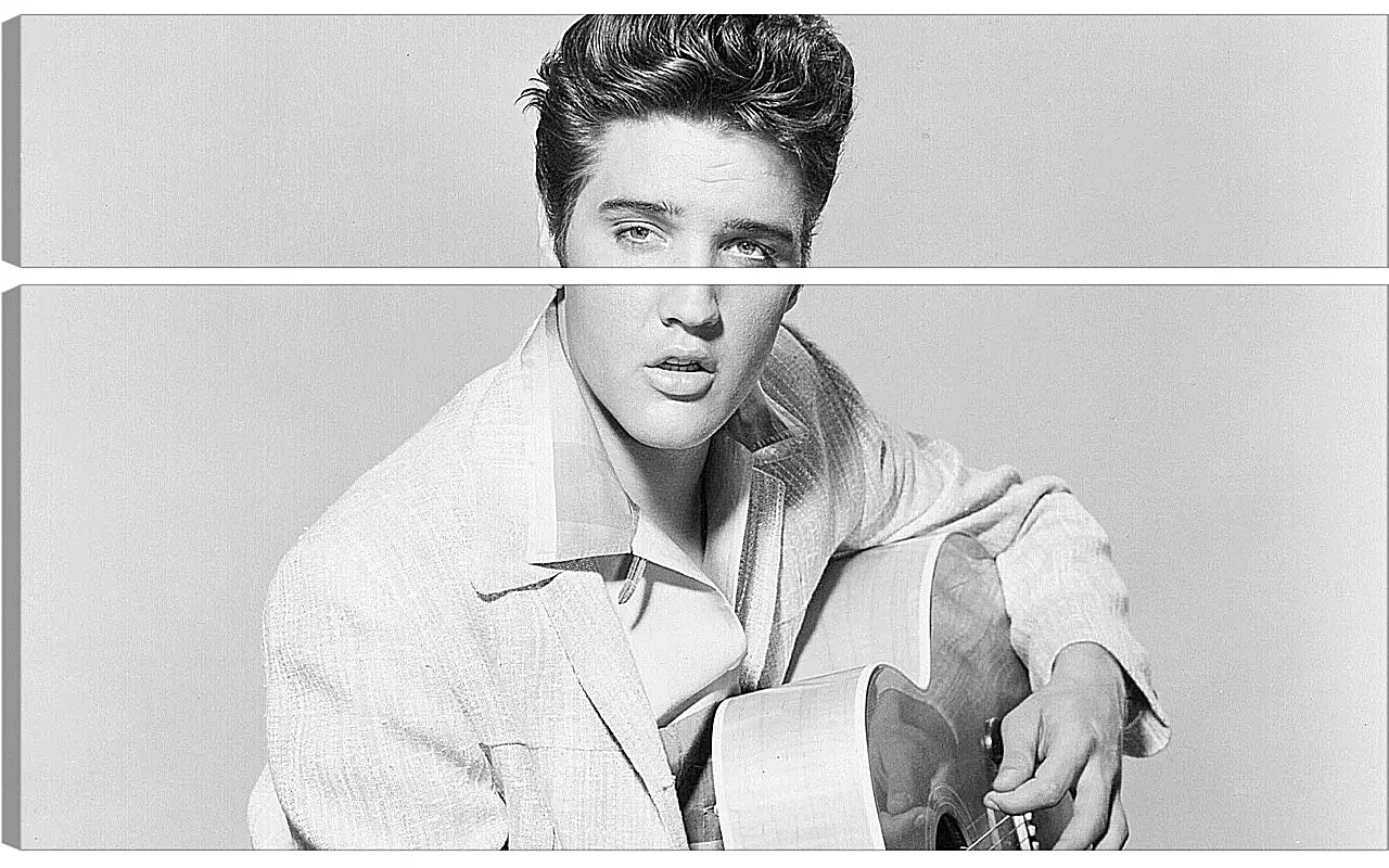 Модульная картина - Элвис Пресли. Elvis Presley