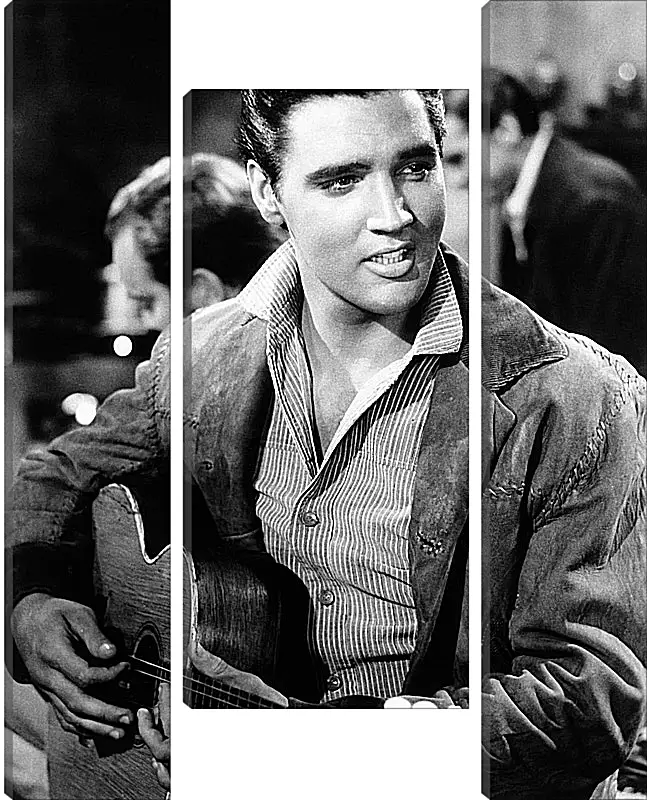 Модульная картина - Элвис Пресли. Elvis Presley