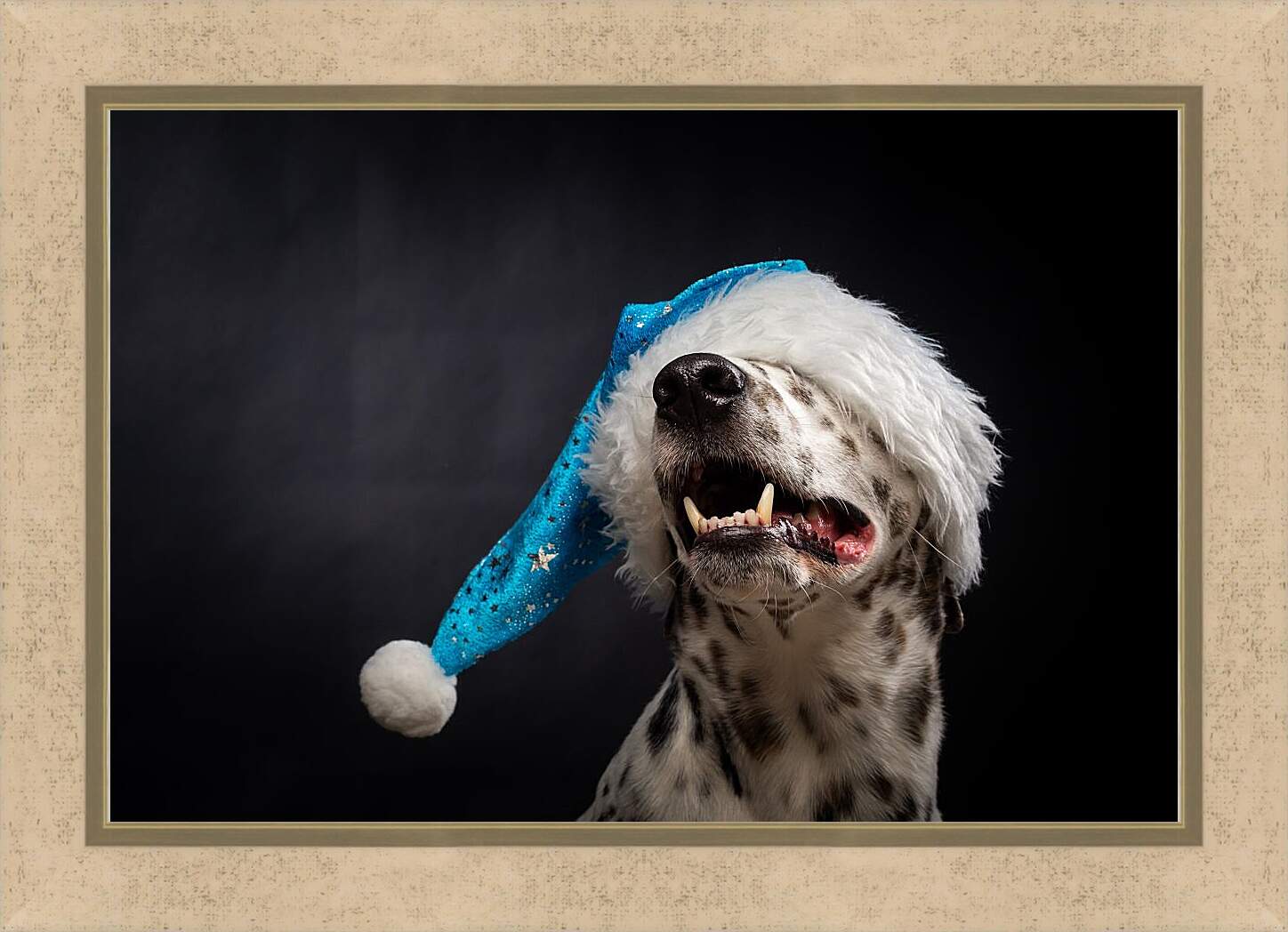 Картина в раме - Далматин в новогодней шапке
