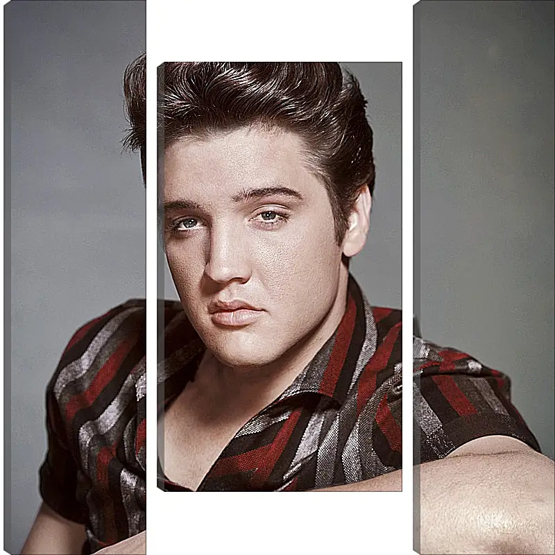 Модульная картина - Элвис Пресли. Elvis Presley