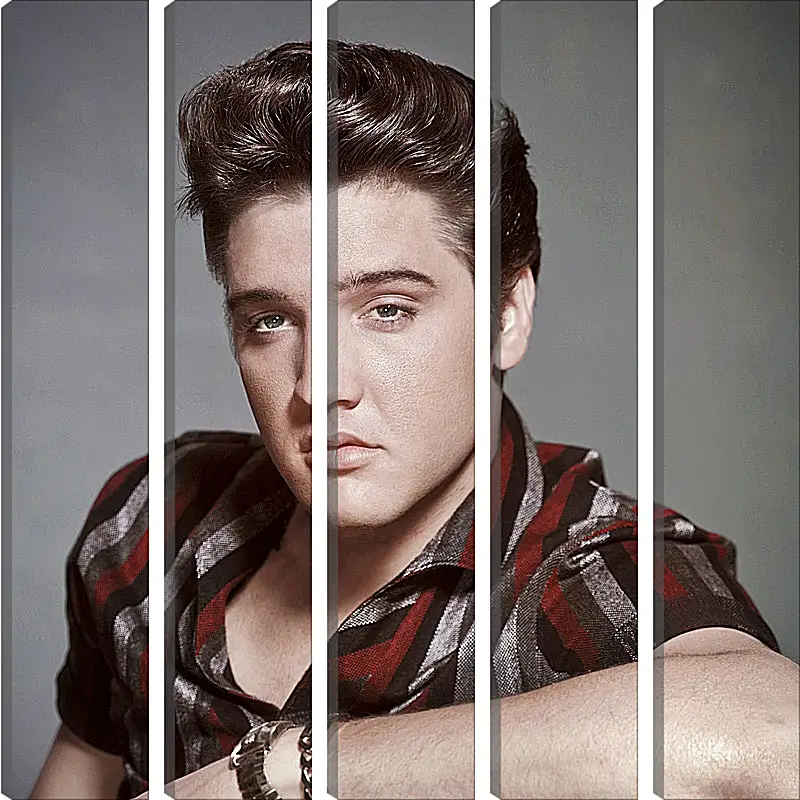 Модульная картина - Элвис Пресли. Elvis Presley