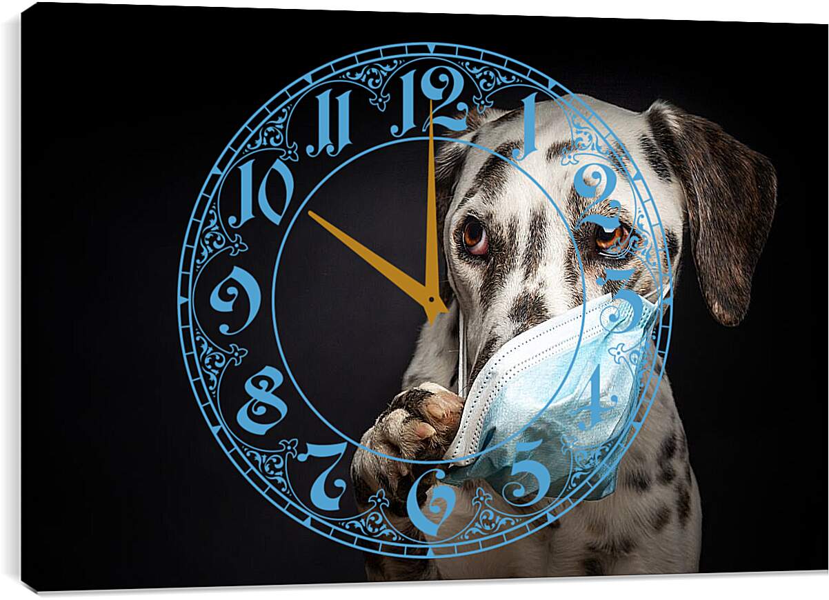 Часы картина - Далматин в медицинской маске