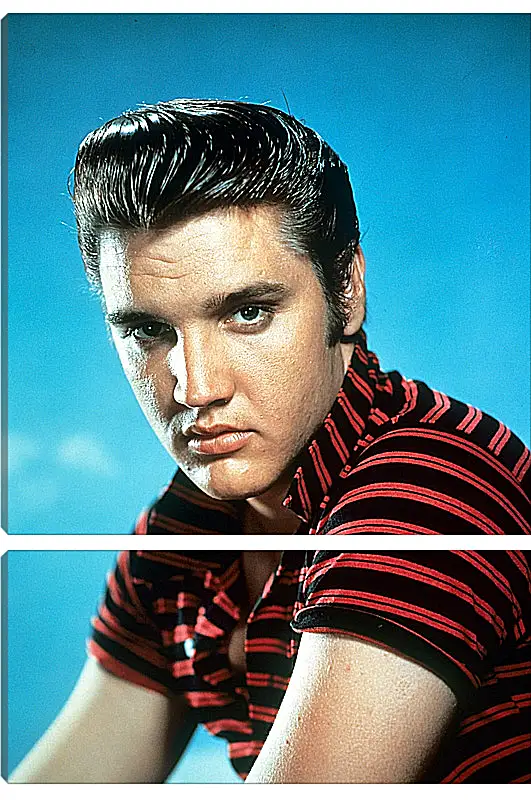 Модульная картина - Элвис Пресли. Elvis Presley