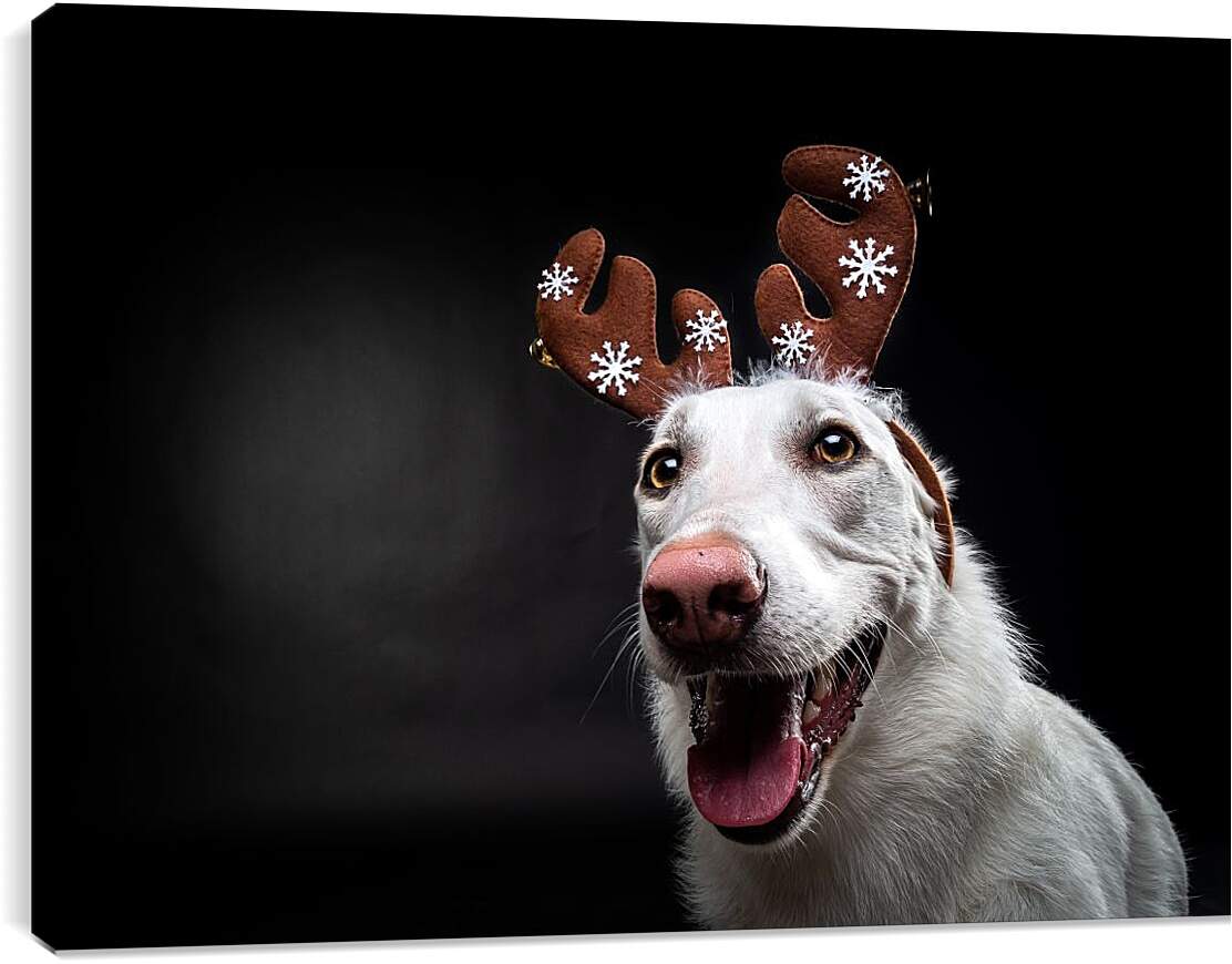 Постер и плакат - Собака в новогодних ушках
