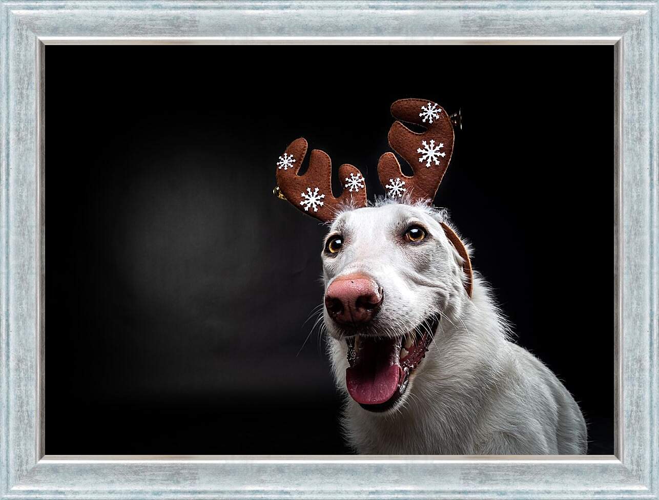 Картина в раме - Собака в новогодних ушках