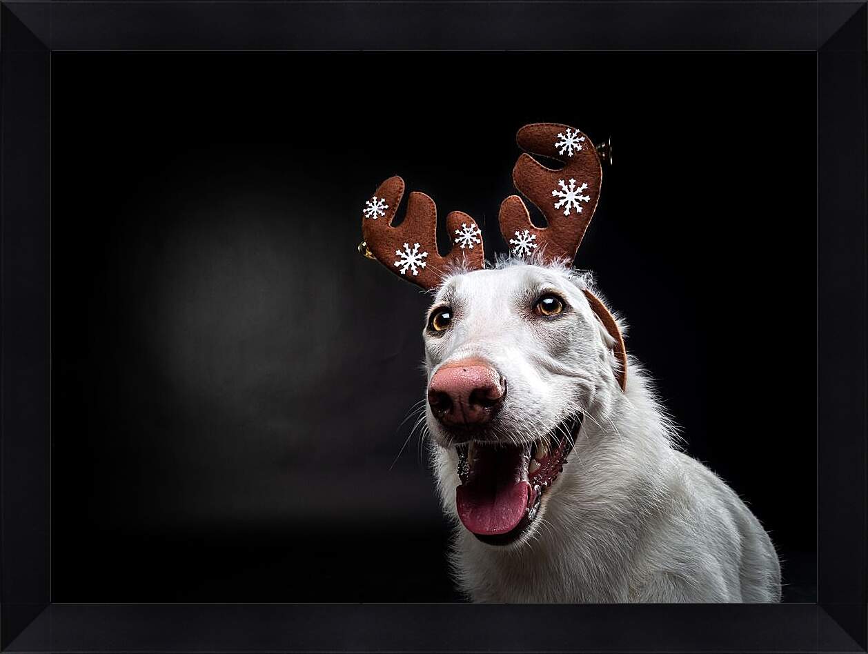 Картина в раме - Собака в новогодних ушках