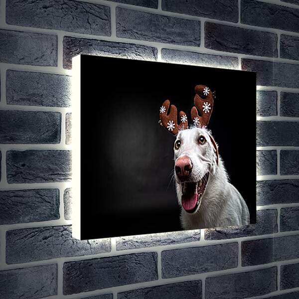 Лайтбокс световая панель - Собака в новогодних ушках