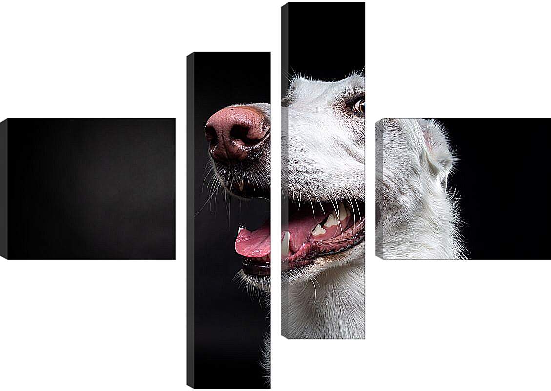 Модульная картина - Собака