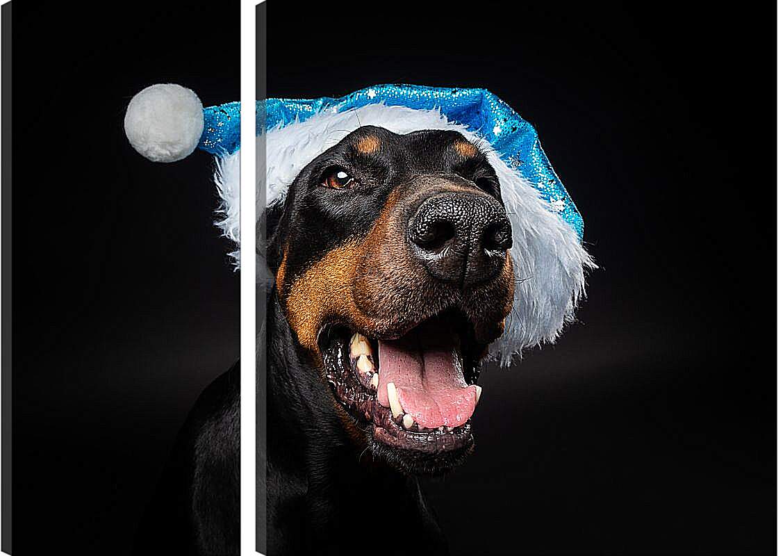 Модульная картина - Собака в новогодней шапке
