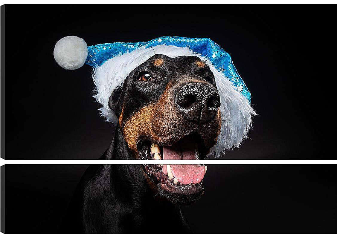 Модульная картина - Собака в новогодней шапке
