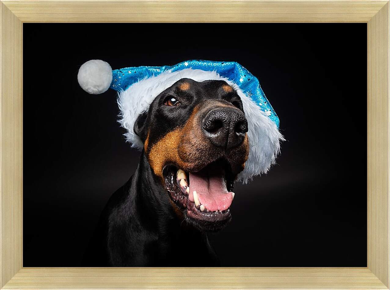 Картина в раме - Собака в новогодней шапке