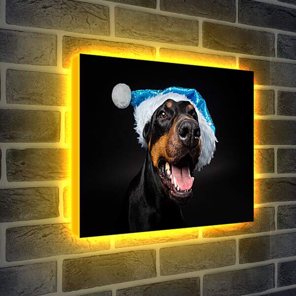 Лайтбокс световая панель - Собака в новогодней шапке
