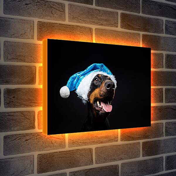 Лайтбокс световая панель - Собака в новогодней шапке