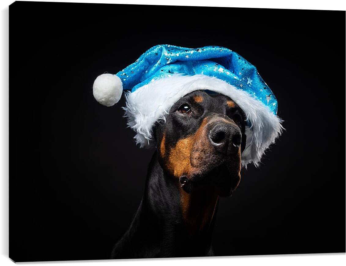 Постер и плакат - Собака в новогодней шапке