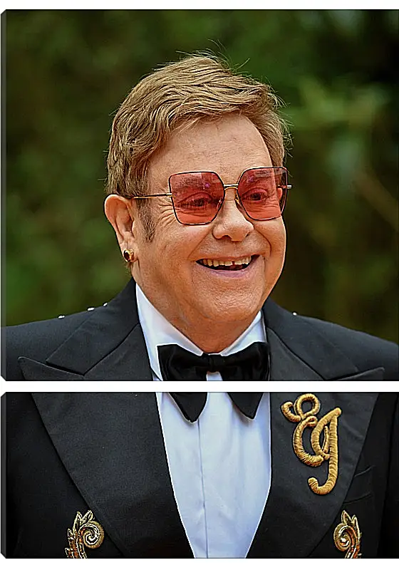 Модульная картина - Элтон Джон. Elton John