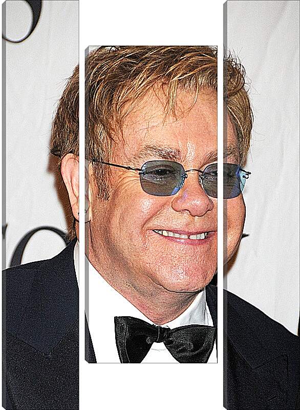 Модульная картина - Элтон Джон. Elton John