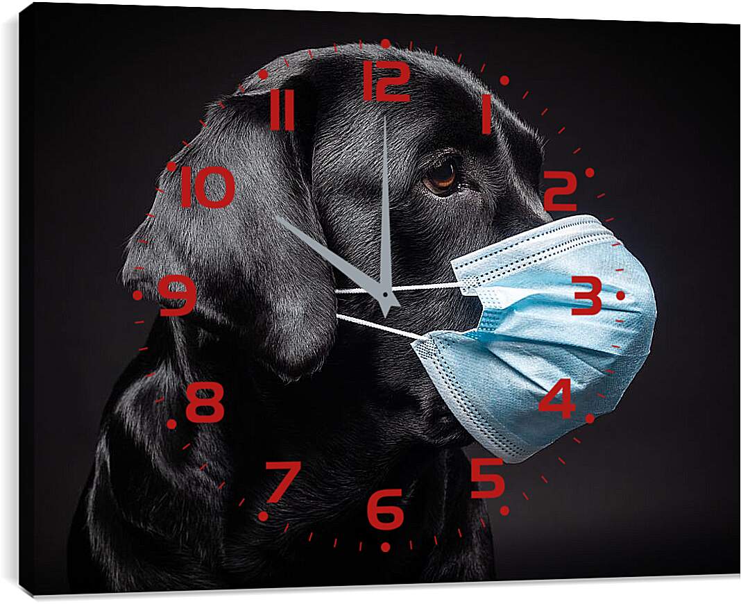 Часы картина - Дог в медицинской маске