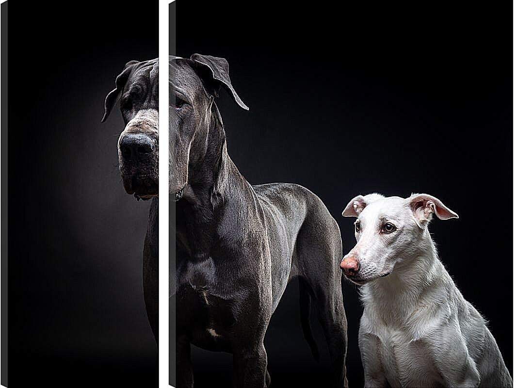 Модульная картина - Две собаки