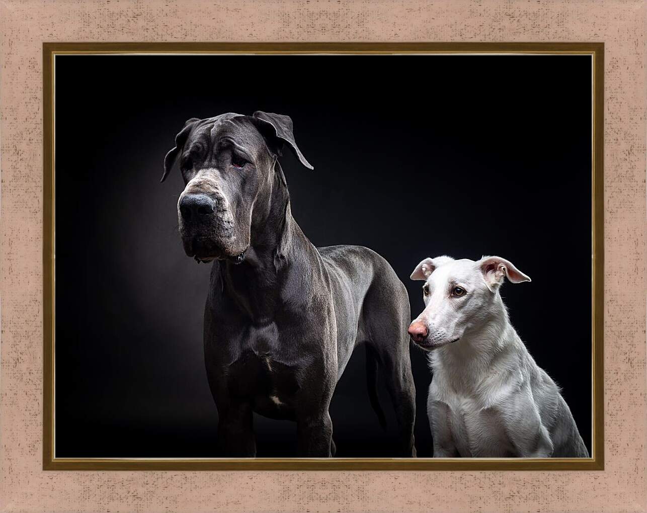 Картина в раме - Две собаки