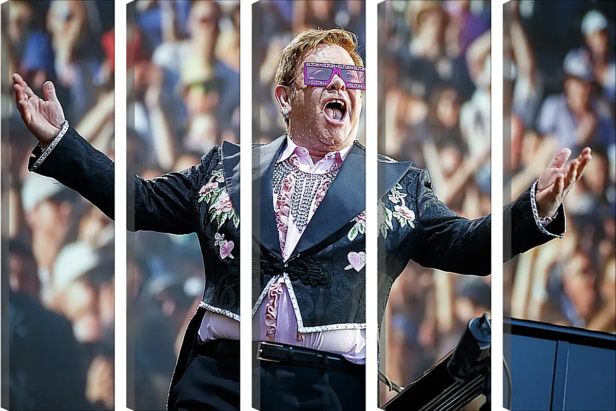Модульная картина - Элтон Джон. Elton John