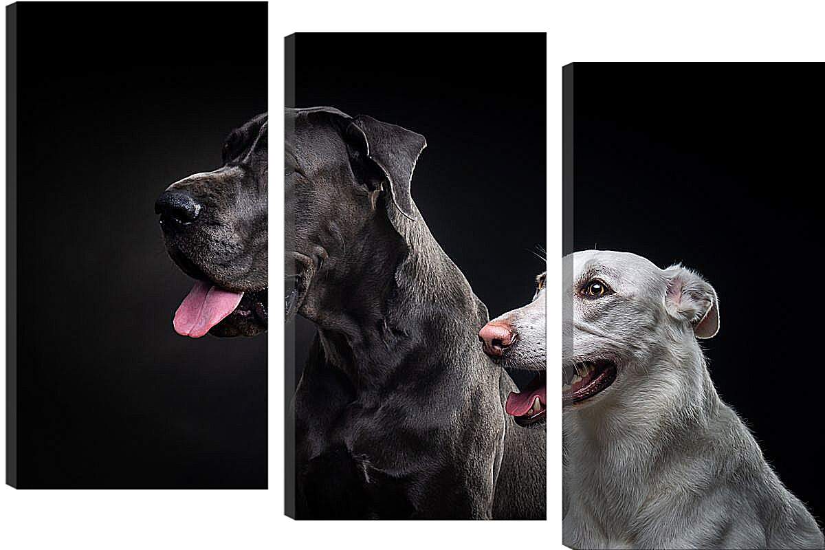 Модульная картина - Две собаки