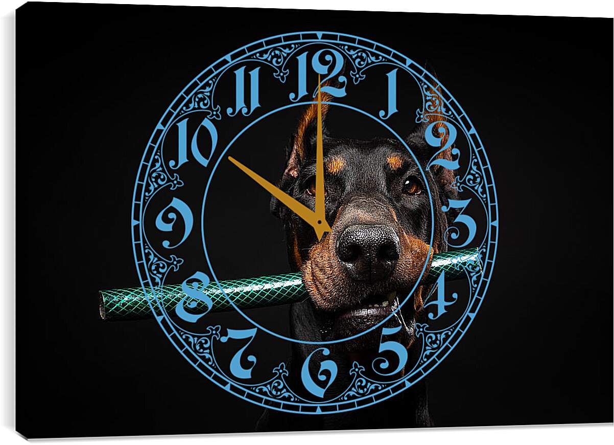 Часы картина - Доберман с палкой в зубах