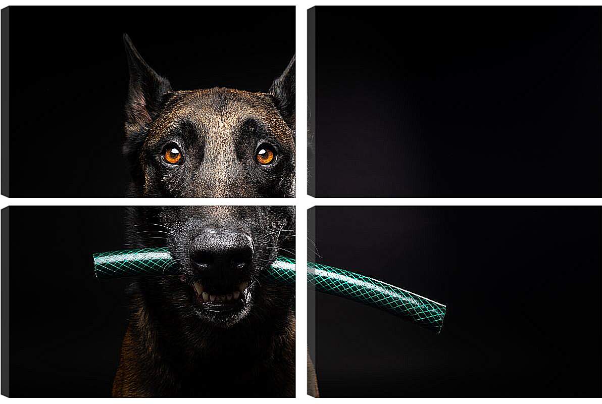 Модульная картина - Собака с палкой в зубах