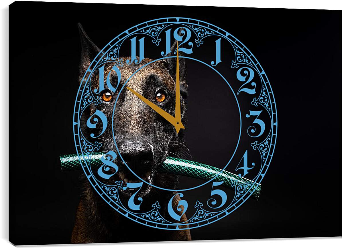 Часы картина - Собака с палкой в зубах