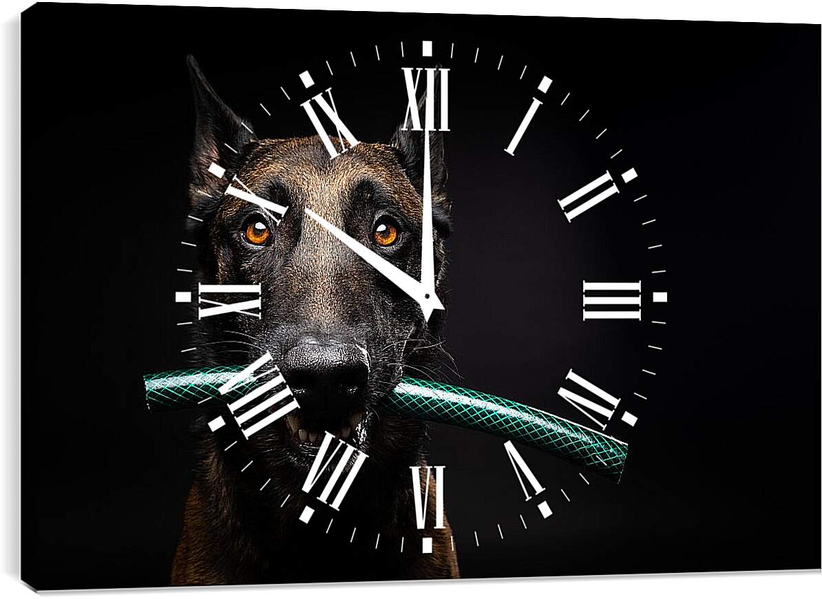 Часы картина - Собака с палкой в зубах