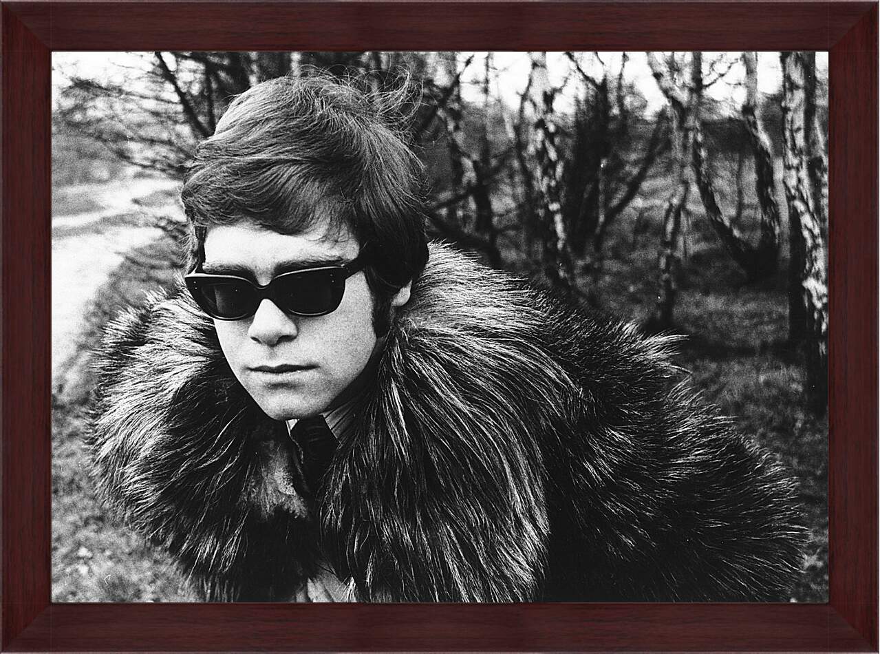 Картина в раме - Элтон Джон. Elton John