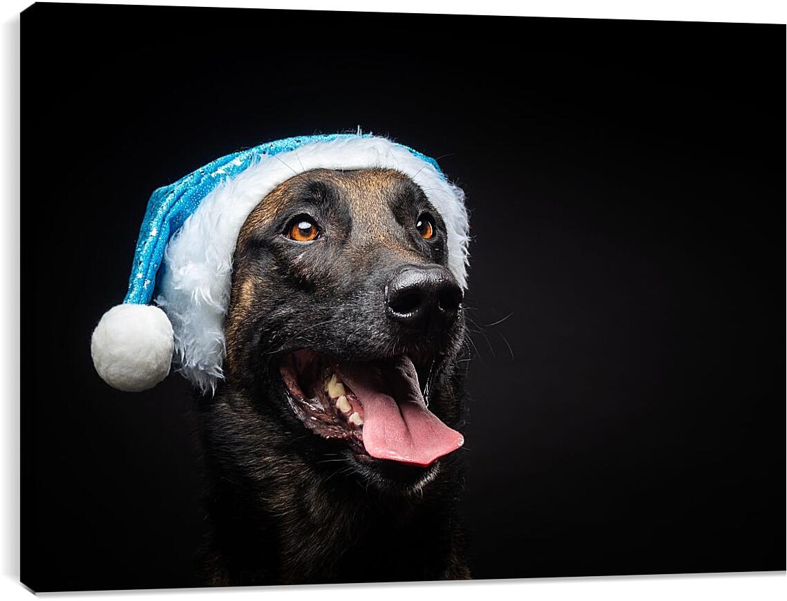 Постер и плакат - Собака в новогодней шапке