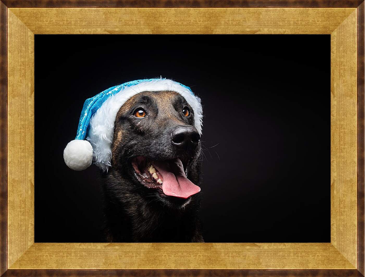 Картина в раме - Собака в новогодней шапке
