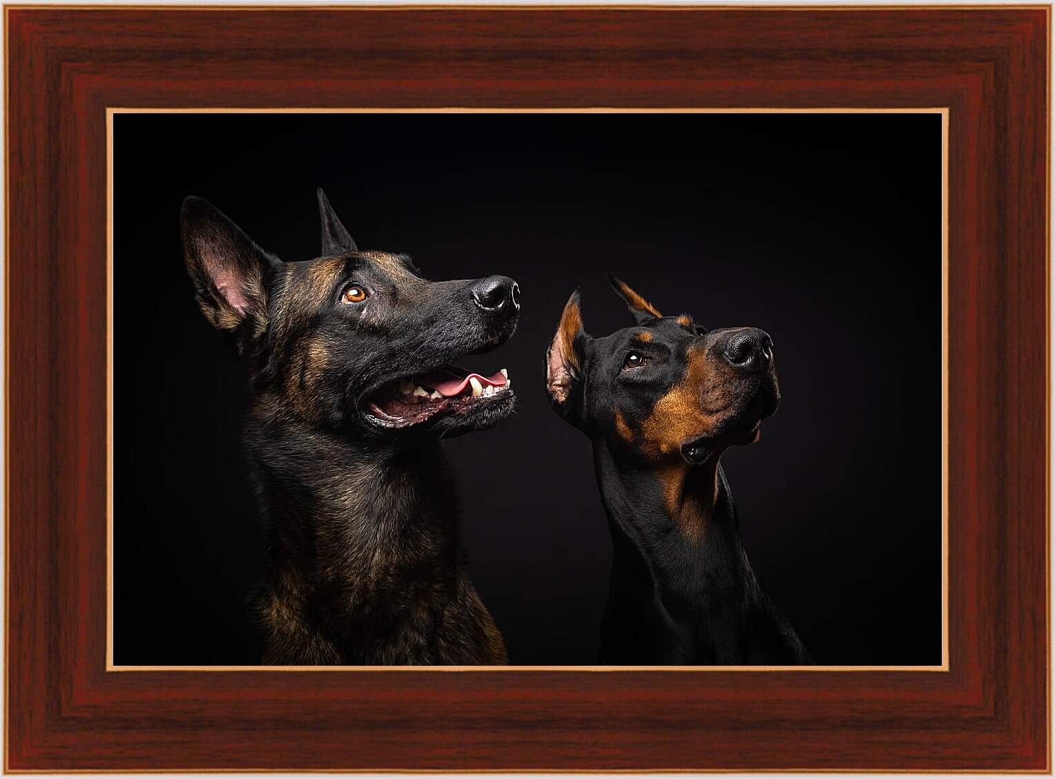Картина в раме - Две собаки