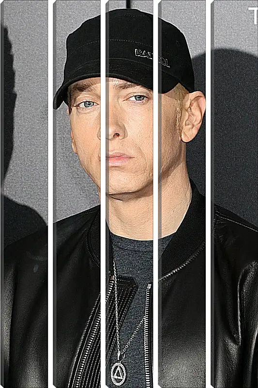 Модульная картина - Эминем. Eminem