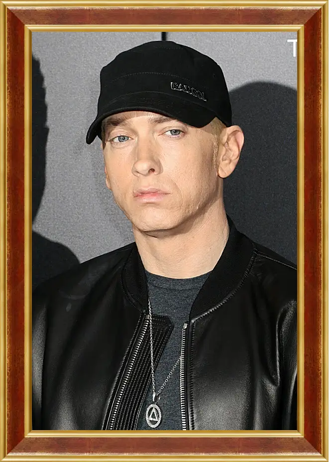 Картина в раме - Эминем. Eminem