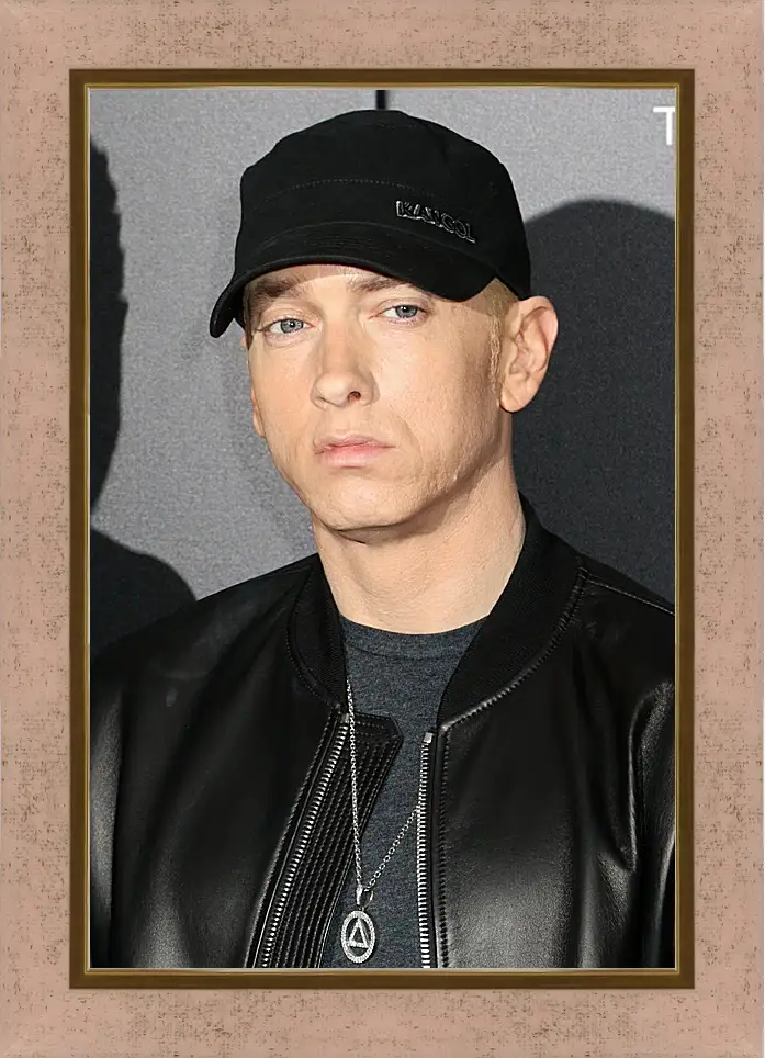 Картина в раме - Эминем. Eminem