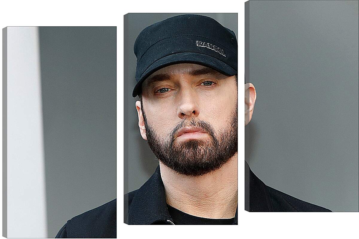 Модульная картина - Эминем. Eminem