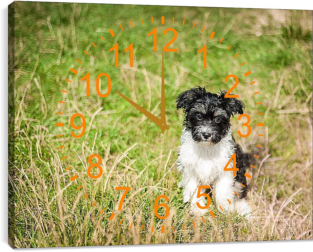 Часы картина - Собака на поле