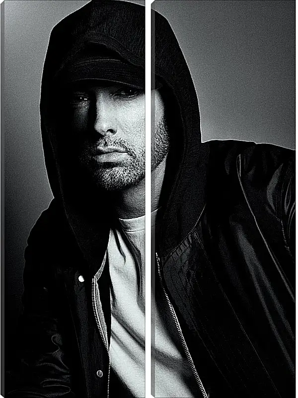 Модульная картина - Эминем. Eminem