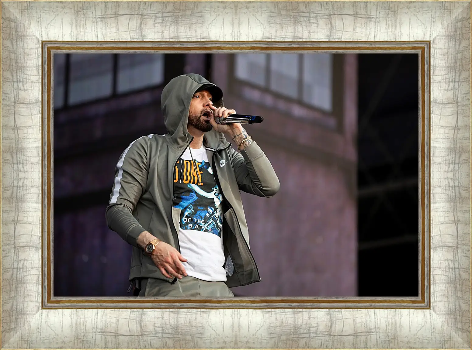 Картина в раме - Эминем. Eminem