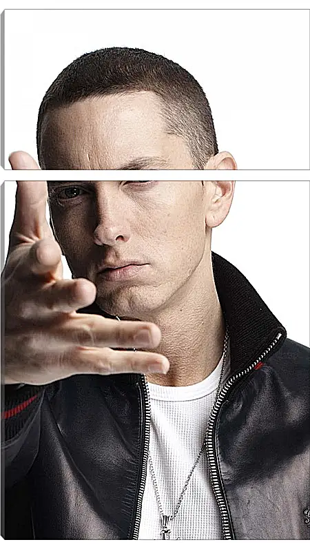 Модульная картина - Эминем. Eminem