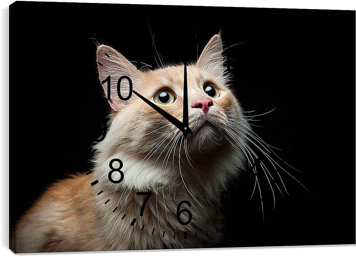 Часы картина - Кошка