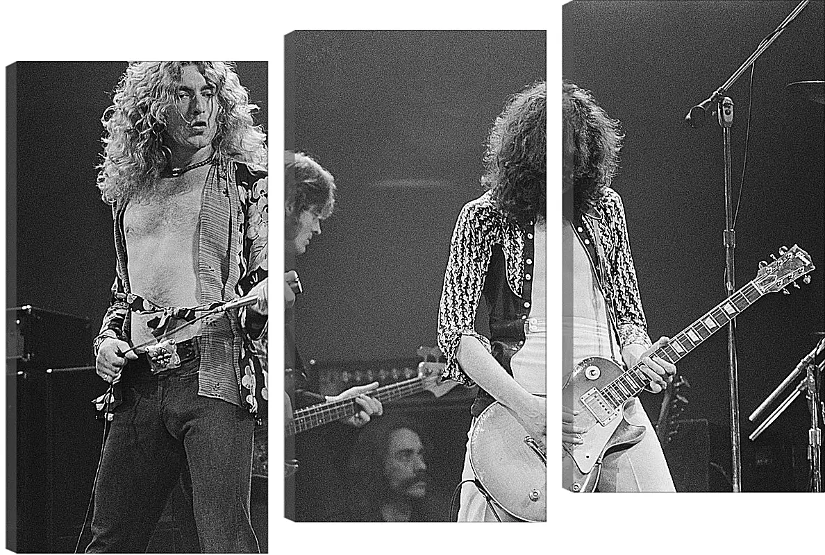 Модульная картина - Лед Зеппелин. Led Zeppelin