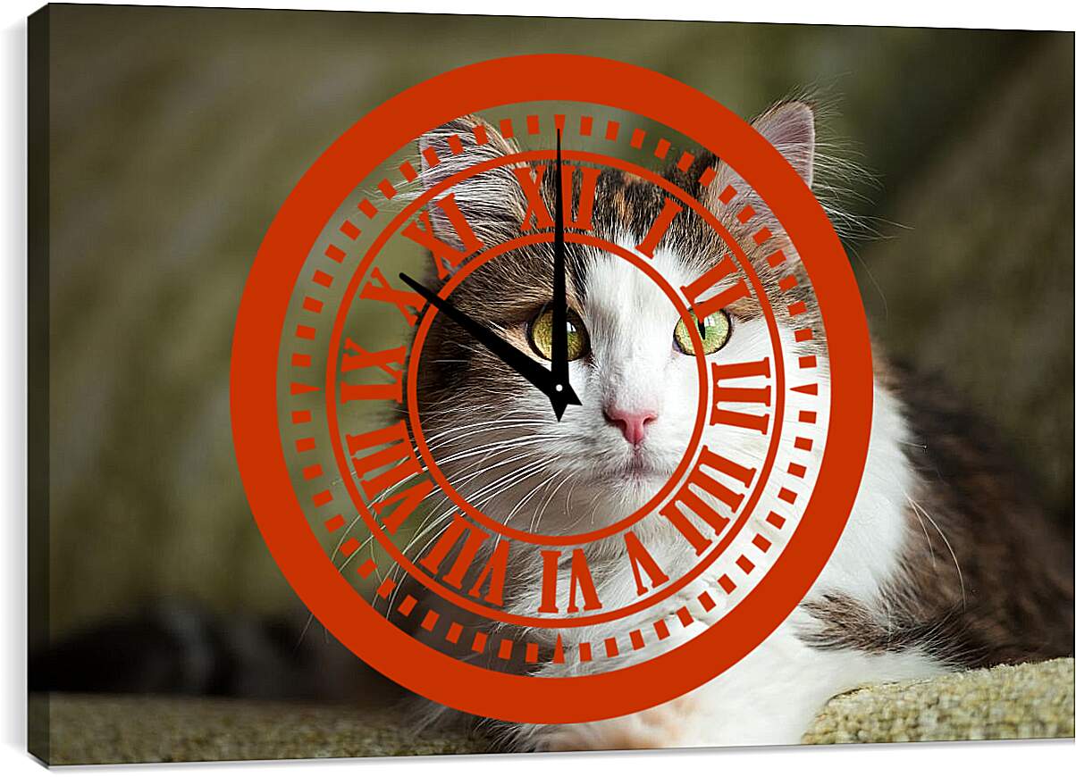Часы картина - Кошка