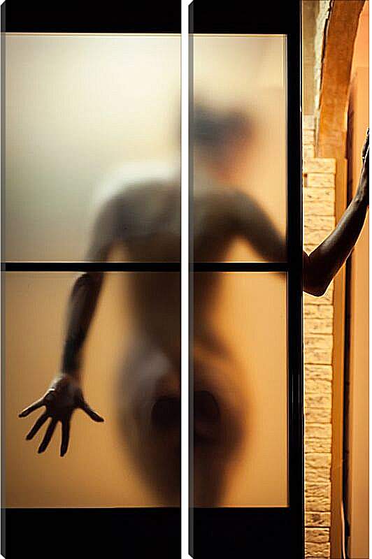 Модульная картина - Девушка за прозрачной дверью