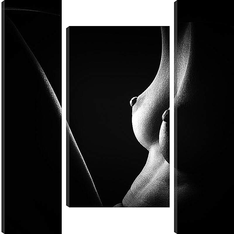 Модульная картина - Грудь девушки в полумраке
