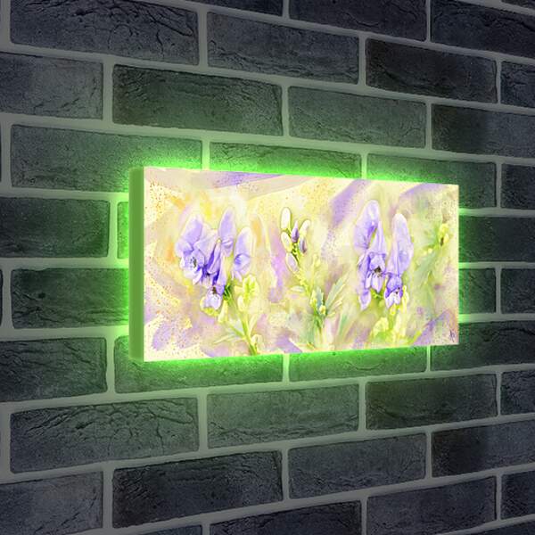 Лайтбокс световая панель - Ирисы